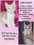     
: декабрь тедди.jpg
: 6
:	91.7 
ID:	7355381