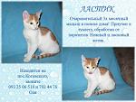     
: декабрь ластик2.jpg
: 6
:	81.0 
ID:	7355714