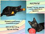     
: декабрь малыш.jpg
: 5
:	93.5 
ID:	7355869