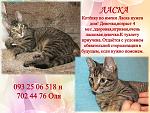     
: декабрь ласка.jpg
: 5
:	123.6 
ID:	7355870