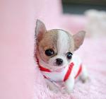     
: XVsJp1qJHDc.jpg
: 49
:	23.1 
ID:	7359751
