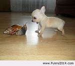     
: Bcyu65FoLyQ.jpg
: 49
:	20.0 
ID:	7359752