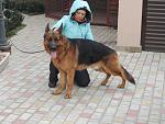     
: DSCN1709.jpg
: 54
:	147.5 
ID:	7359925