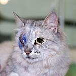     
: DSC_0008.jpg
: 7
:	76.4 
ID:	7362508