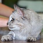     
: DSC_0005.jpg
: 10
:	52.6 
ID:	7362509