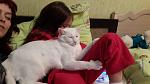     
: 2013-12-08 16.13.40.jpg
: 7
:	84.2 
ID:	7364729