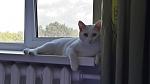     
: 2013-09-08 09.13.37.jpg
: 7
:	67.5 
ID:	7364742