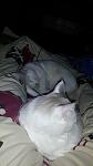     
: 2013-10-22 21.38.16.jpg
: 7
:	40.2 
ID:	7364745