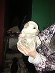     
: QK_nIbz7pm8.jpg
: 21
:	107.3 
ID:	7365519