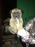     
: wD9muaU3BVA.jpg
: 28
:	108.5 
ID:	7365520