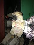     
: uOkYAEgmVpU.jpg
: 19
:	113.7 
ID:	7365522