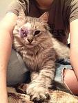     
: unnamed (1).jpg
: 2
:	69.9 
ID:	7372304