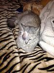     
: unnamed (3).jpg
: 2
:	68.5 
ID:	7372307