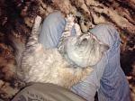     
: unnamed (2).jpg
: 2
:	73.0 
ID:	7372308