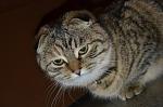     
: jymS6wSzQVY.jpg
: 24
:	47.6 
ID:	7373317