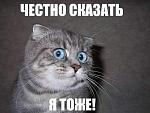     
: -S5YsSEYnek.jpg
: 13
:	23.0 
ID:	7374551