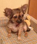     
: 20131213Td8aEUEAJzKOO3DX_N32BE_large.jpg
: 11
:	59.5 
ID:	7375695