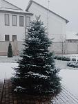     
: фотография (11).jpg
: 27
:	90.0 
ID:	7376702