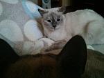     
: 2013-12-11 10.48.35.jpg
: 12
:	100.7 
ID:	7378677