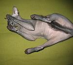     
: IMG_6770.jpg
: 17
:	126.0 
ID:	737955
