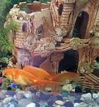     
: 2013-12-14 09.47.35.jpg
: 23
:	124.0 
ID:	7382356