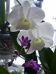     
: P1010138.jpg
: 12
:	56.7 
ID:	7382848