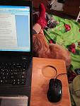     
: IMG_5486.jpg
: 3
:	87.2 
ID:	7384981