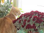     
: IMG_5196.jpg
: 3
:	135.7 
ID:	7385085