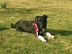     
: 20131130_113422.jpg
: 12
:	237.0 
ID:	7385982