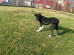     
: 20131130_113533.jpg
: 10
:	293.3 
ID:	7385985