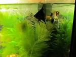     
: C30PFBa1IHc.jpg
: 17
:	164.7 
ID:	7389793