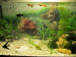     
: t6IEXCfXJ4s.jpg
: 16
:	208.1 
ID:	7389799