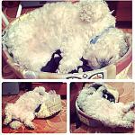     
: Untitled-1.jpg
: 16
:	227.7 
ID:	7390330