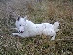     
: Фото0042.jpg
: 22
:	282.8 
ID:	7397189