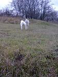     
: Фото0030.jpg
: 17
:	203.7 
ID:	7397190