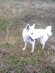     
: Фото0028.jpg
: 17
:	210.3 
ID:	7397192