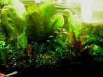     
: Изображение 008.jpg
: 7
:	128.4 
ID:	7397349