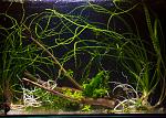     
: DSC_8480.jpg
: 14
:	137.7 
ID:	7397620