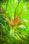     
: DSC_6611.jpg
: 17
:	95.7 
ID:	7397622