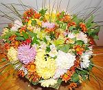     
: 0_e758a_901cb0ac_M.jpg
: 13
:	49.4 
ID:	7400138