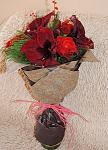     
: 0_e758b_4ced35d8_M.jpg
: 13
:	30.1 
ID:	7400153