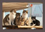     
: 2f9-bJjp724.jpg
: 78
:	82.9 
ID:	7401984