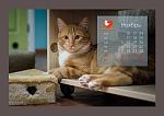     
: qNiTyfi15lM.jpg
: 81
:	69.8 
ID:	7401985
