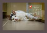     
: hHhc2_LdEI8.jpg
: 84
:	43.7 
ID:	7401988