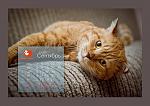     
: SkFheHM5cQA.jpg
: 87
:	80.6 
ID:	7401991