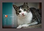     
: 7eg1H47MrFg.jpg
: 70
:	63.6 
ID:	7401993