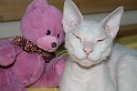     
: IMG_8909.jpg
: 10
:	85.7 
ID:	7403683