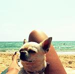     
: IMG_5744.jpg
: 35
:	88.4 
ID:	7404507