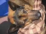     
: IMG_0043.jpg
: 28
:	190.6 
ID:	7407023