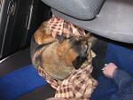     
: IMG_0042.jpg
: 15
:	152.0 
ID:	7407026
